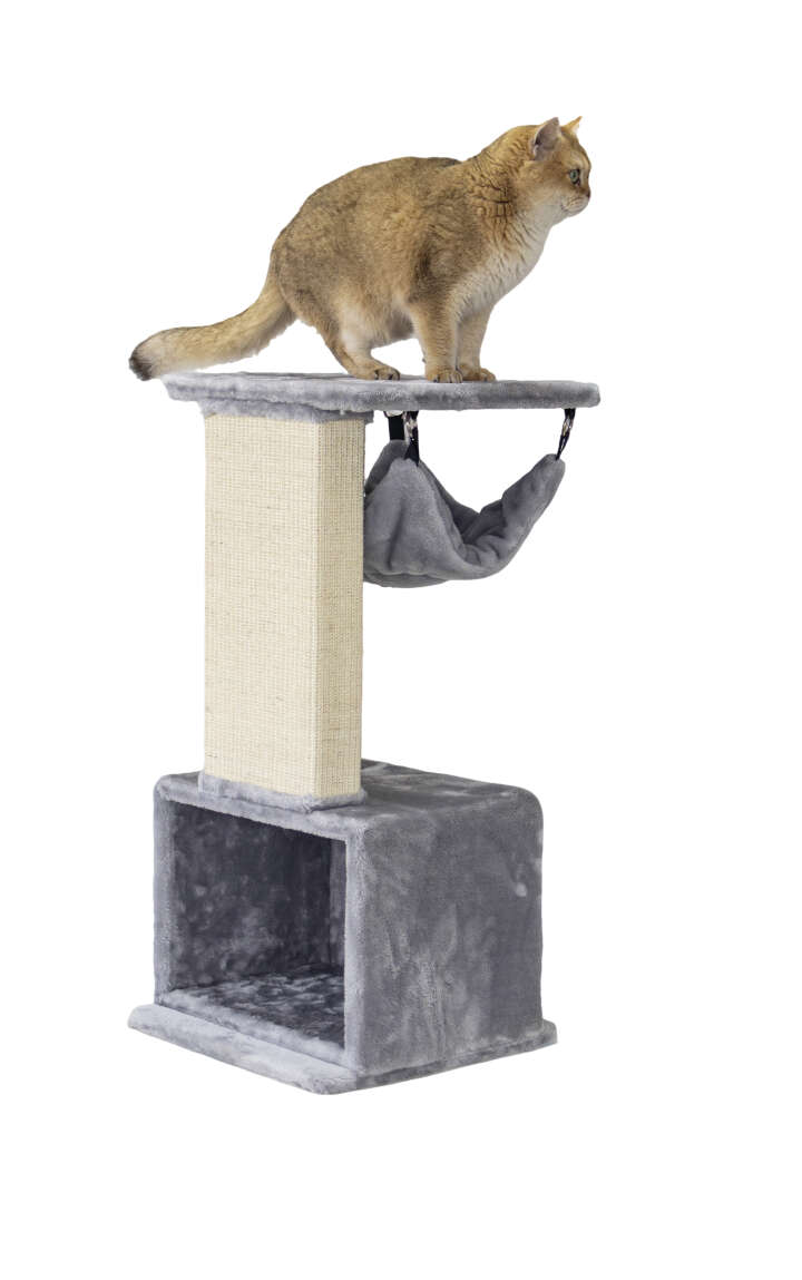 Nobby Kratzbaum Idris